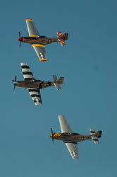 DSC_1346.jpg DSC_1346.jpg