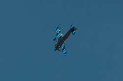 DSC_1411.jpg DSC_1411.jpg