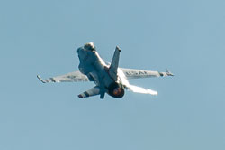 DSC_1719.jpg DSC_1719.jpg