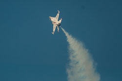 DSC_1728.jpg DSC_1728.jpg