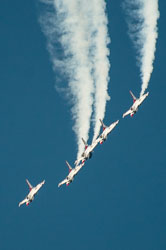 DSC_1751.jpg DSC_1751.jpg