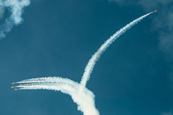 DSC_1782.jpg DSC_1782.jpg