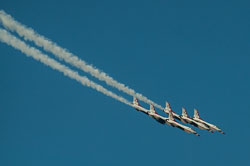 DSC_1828.jpg DSC_1828.jpg