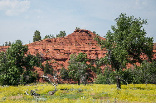 DSC_6212.jpg DSC_6212.jpg