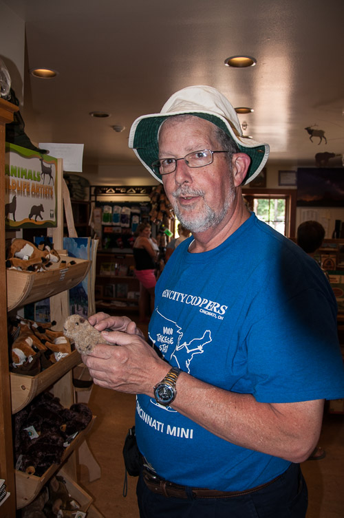 DSC_6241.jpg DSC_6241.jpg