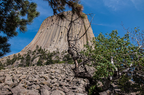 DSC_6251.jpg DSC_6251.jpg