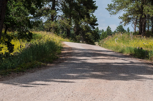 DSC_6254.jpg DSC_6254.jpg