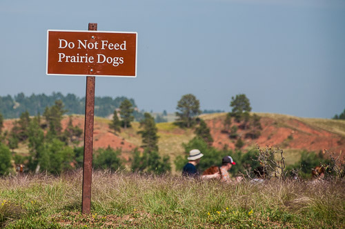 DSC_6268.jpg DSC_6268.jpg