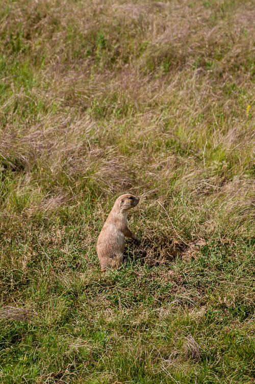 DSC_6270.jpg DSC_6270.jpg