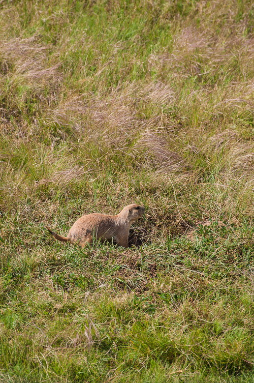 DSC_6273.jpg DSC_6273.jpg