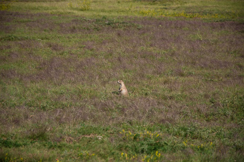 DSC_6275.jpg DSC_6275.jpg