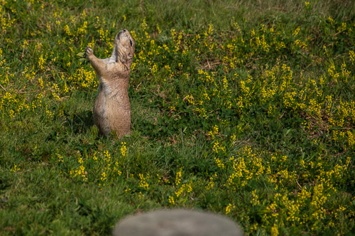 DSC_6282.jpg DSC_6282.jpg