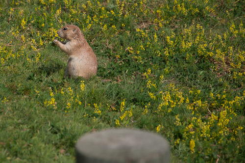 DSC_6283.jpg DSC_6283.jpg