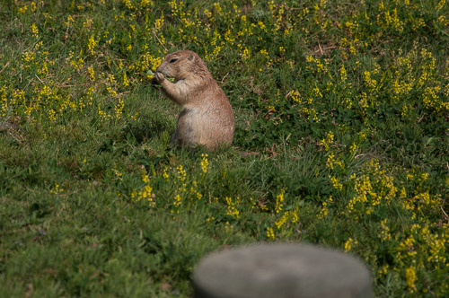 DSC_6284.jpg DSC_6284.jpg