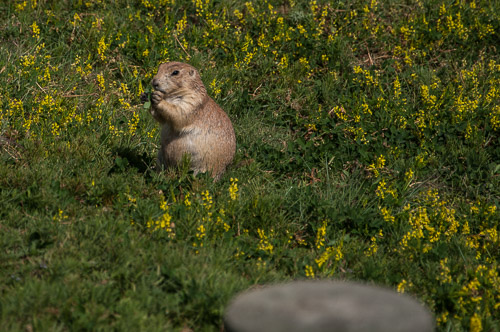 DSC_6285.jpg DSC_6285.jpg