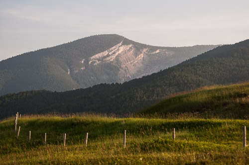 DSC_6295.jpg DSC_6295.jpg