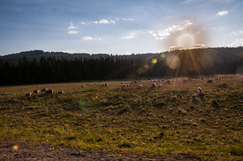 DSC_6302.jpg DSC_6302.jpg