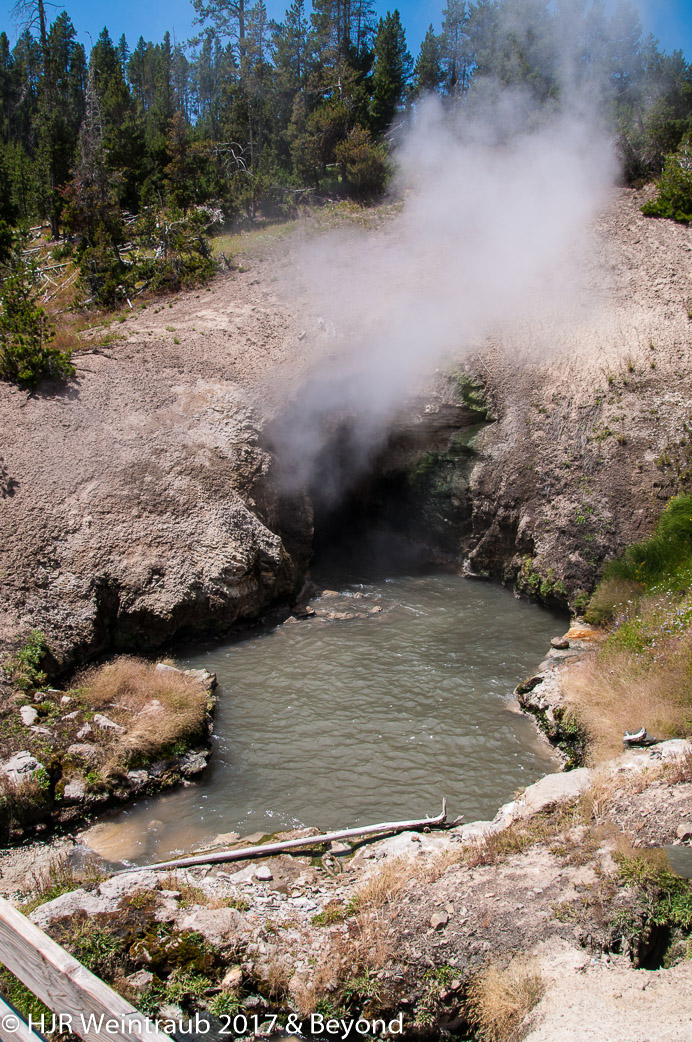 DSC_6475-Edit.jpg