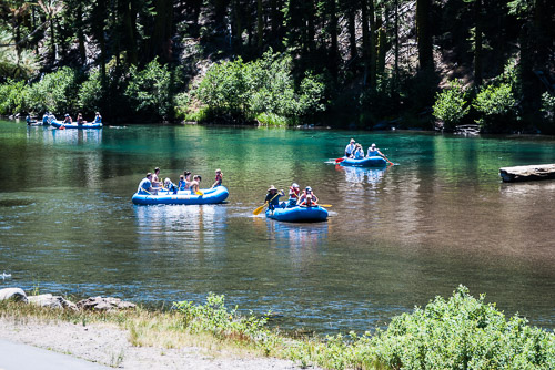 DSC_7086.jpg DSC_7086.jpg