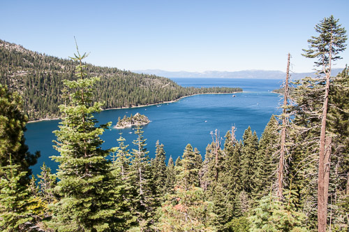 DSC_7143.jpg DSC_7143.jpg