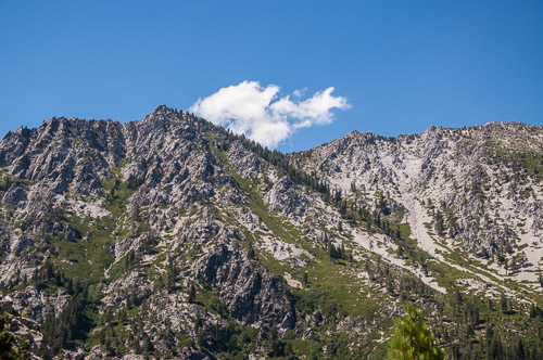 DSC_7146.jpg DSC_7146.jpg