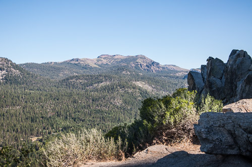 DSC_7176.jpg DSC_7176.jpg