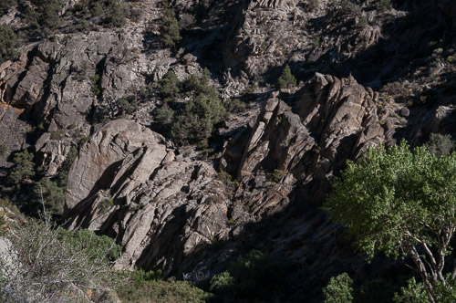 DSC_7209.jpg DSC_7209.jpg