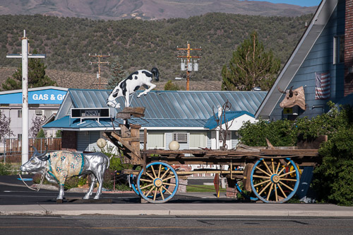 DSC_7218.jpg DSC_7218.jpg