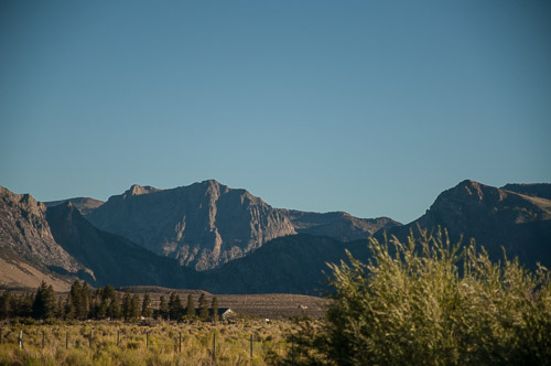 DSC_7242.jpg DSC_7242.jpg