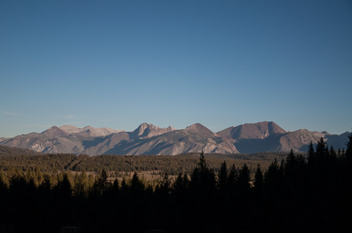 DSC_7250.jpg DSC_7250.jpg