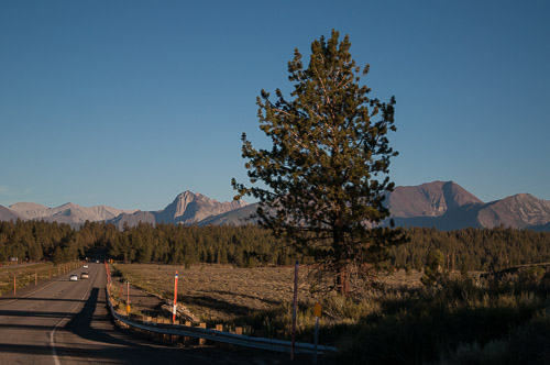 DSC_7256.jpg DSC_7256.jpg