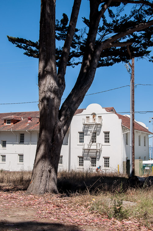 DSC_7589.jpg DSC_7589.jpg