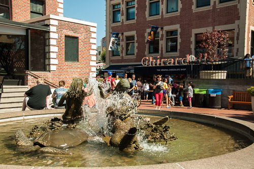 DSC_7601.jpg DSC_7601.jpg