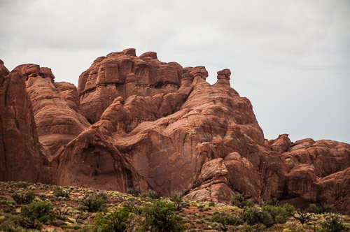 DSC_8662.jpg DSC_8662.jpg