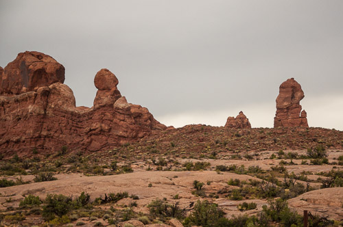 DSC_8667.jpg DSC_8667.jpg