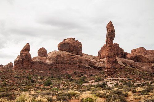 DSC_8678.jpg DSC_8678.jpg