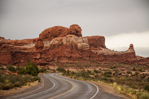 DSC_8681.jpg DSC_8681.jpg