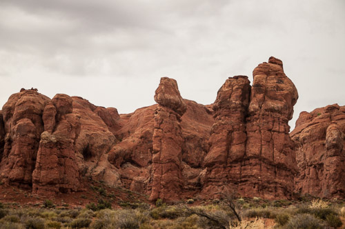 DSC_8683.jpg DSC_8683.jpg