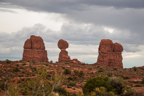 DSC_8685.jpg DSC_8685.jpg