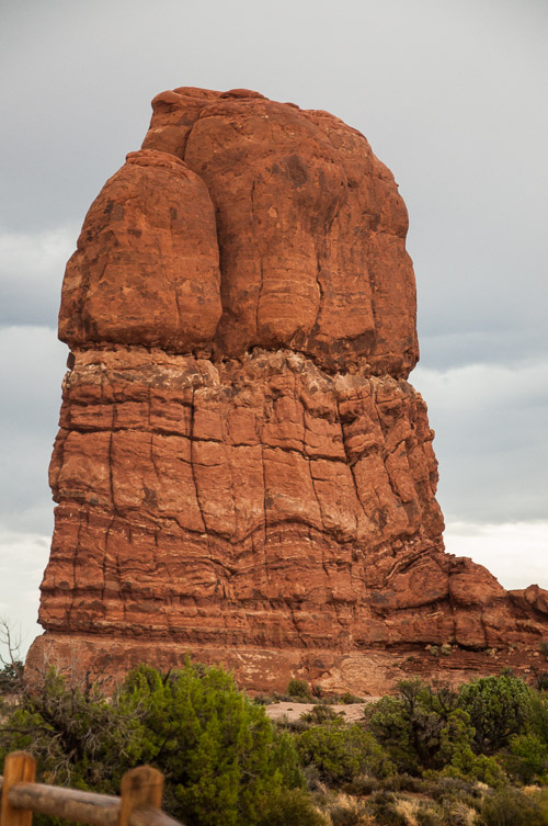 DSC_8692.jpg DSC_8692.jpg