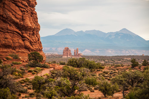 DSC_8693.jpg DSC_8693.jpg