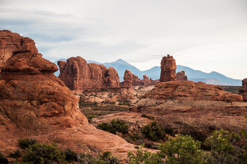 DSC_8704.jpg DSC_8704.jpg