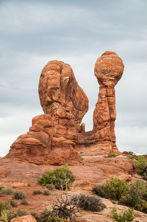 DSC_8705.jpg DSC_8705.jpg