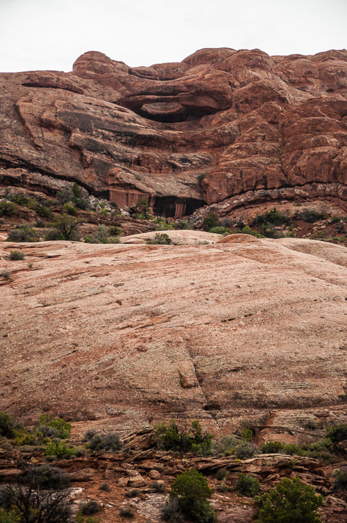 DSC_8709.jpg DSC_8709.jpg