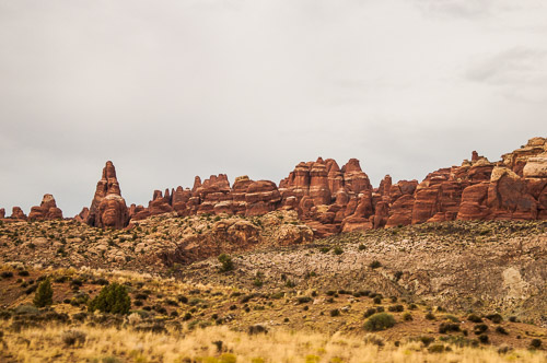 DSC_8711.jpg DSC_8711.jpg