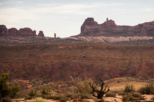 DSC_8717.jpg DSC_8717.jpg