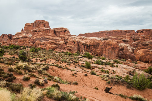 DSC_8725.jpg DSC_8725.jpg