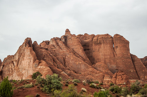 DSC_8733.jpg DSC_8733.jpg