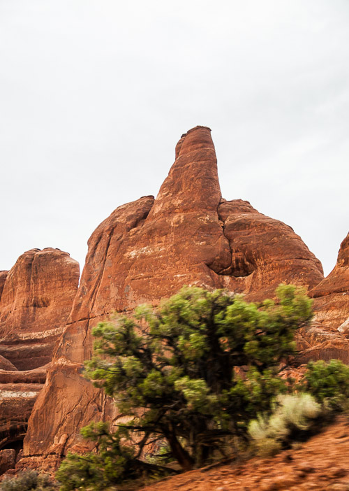 DSC_8734.jpg DSC_8734.jpg