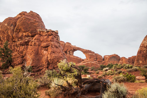 DSC_8740.jpg DSC_8740.jpg